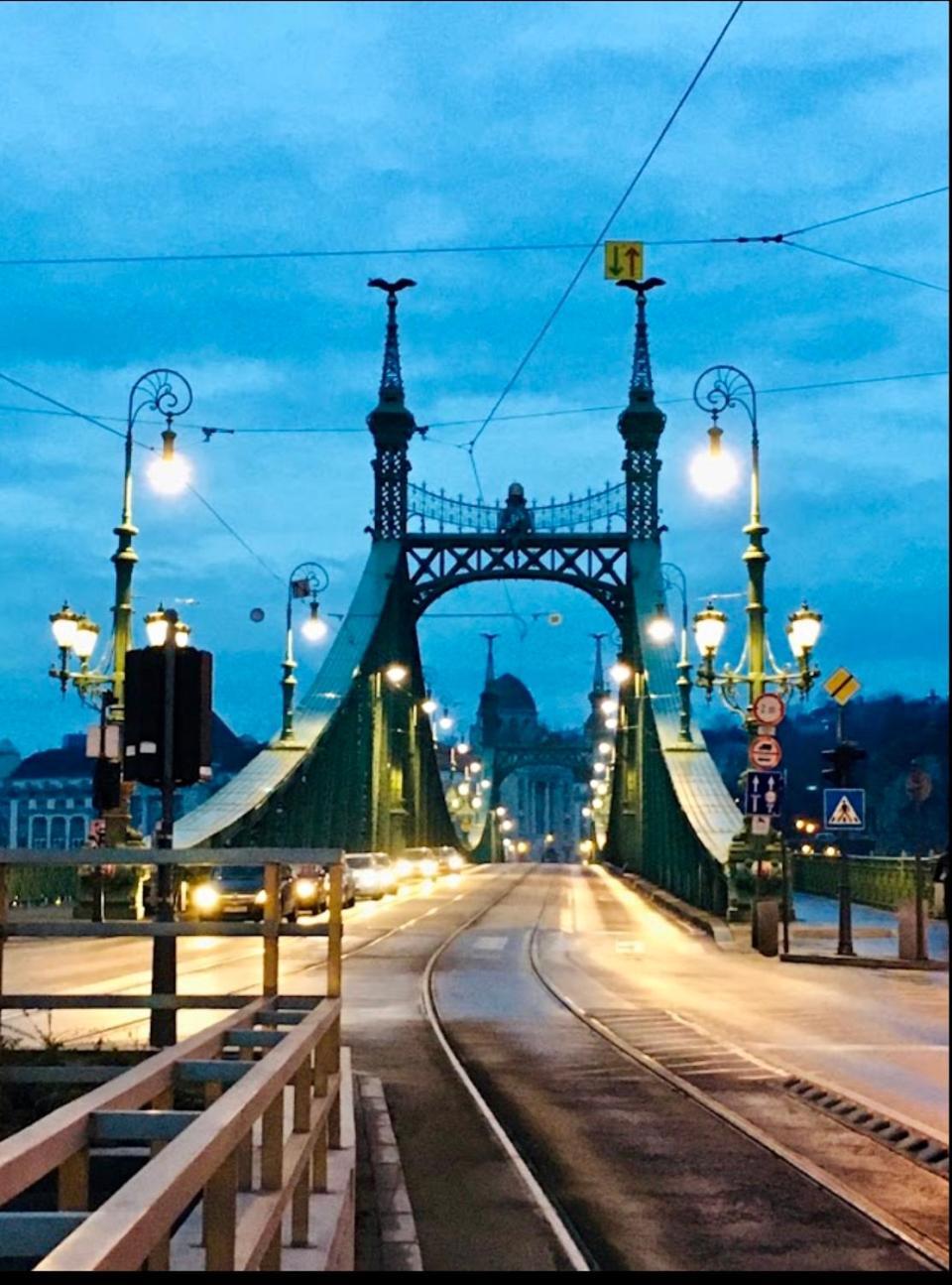 Liberty Bridge Zenta Daire Budapeşte Dış mekan fotoğraf